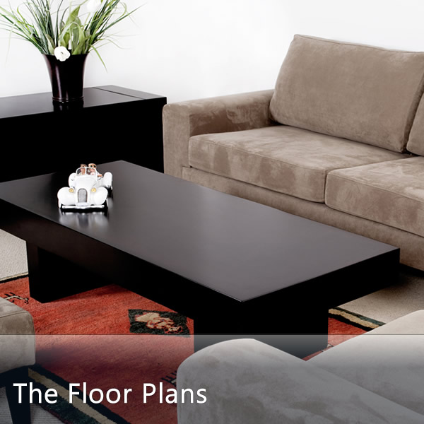 Spacious Floor Plans